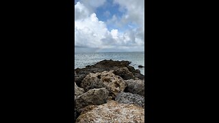 Beautiful Rainbow at South Marco Beach! | 4K