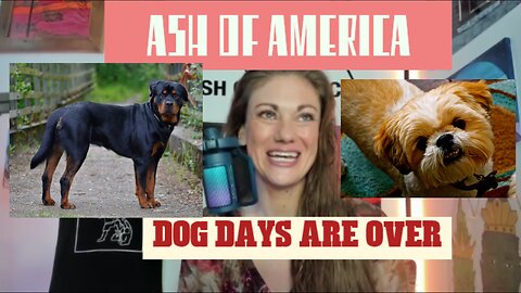 AOA: Dog shot & killed in Rancho San Rafael Park / Dog Days are Over