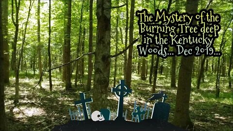 Kentucky Mystery Tree Fire Investigation... Do you believe it?