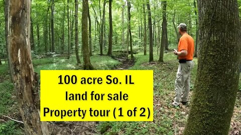 100 acres of hunting land for sale-Southern Illinois. Property tour & assessment PT 1 of 2