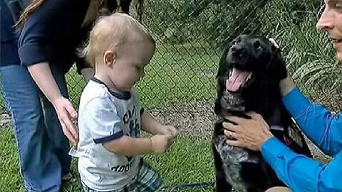 Dog saves South Carolina boy from abusive nanny - TomoNews