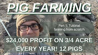 Making $27k a Year from $3500 and Under a Acre Farming Pigs Profit