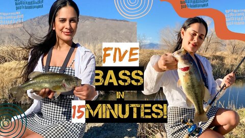 5 Bass In 15 Minutes (We Follow Rivers)