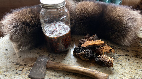 Making Chaga Mushroom Tincture Part 2