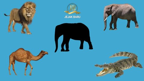 Menebak Gambar Dengan Benar || Yang Manakah Gambar Gajah