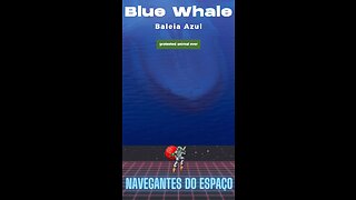Blue Whale largest animal ever