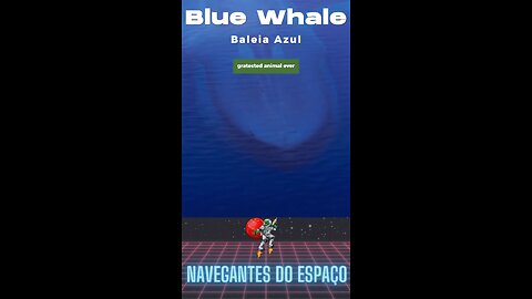 Blue Whale largest animal ever