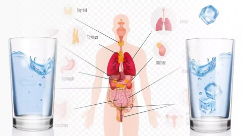 Hot vs Cold: Benefits of Drinking Hot Water vs Cold Water