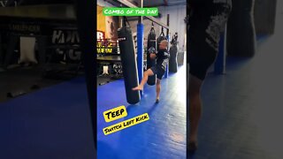 Combo of the Day - Teep Switch Left Kick Cross Hook Right Kick - Muay Thai