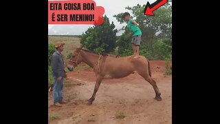 Menino Em Pé no Burro Dengoso #Shorts