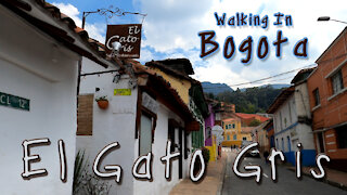 Walking Through the Streets of Bogota, Colombia - El Gato Gris