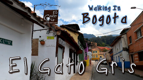 Walking Through the Streets of Bogota, Colombia - El Gato Gris