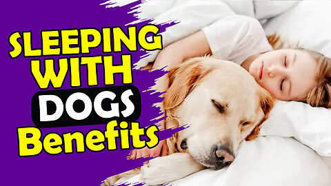 10 Benefits of sharing your bed with your dogs