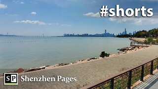 Shenzhen Bay bridge 🌉