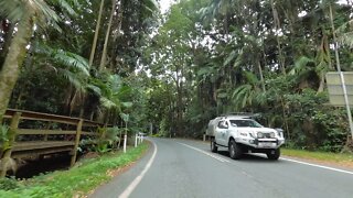 Driving Mount Tamborine Up And Down To Gold Coast