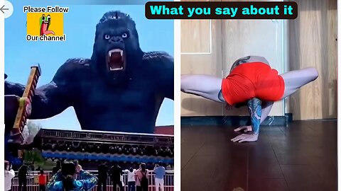 What You say About it? | Gorilla or Ulta aadmi