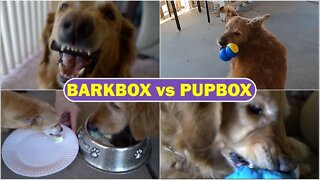 BarkBox and PupBox Reviewed: Testing Dog Box Services