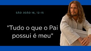 Jo 16, 12-15 | O Espírito Santo receberá do que é meu e vo-lo anunciará