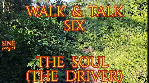 WALK AND TALK 6 / THE SOUL (THE DRIVER)