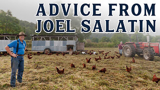 Joel Salatin on Starting a Homestead Business