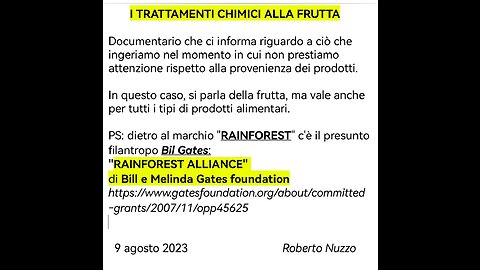 "RAINFOREST": COSA INGERIAMO?