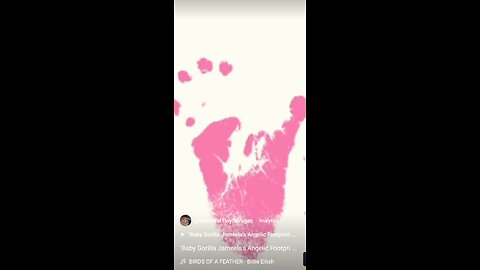 "Baby Gorilla Jameela's Angelic Footprint 🐾🎀💖🎼🎶