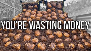 I'll Never Buy Potatoes Again Here's Why!