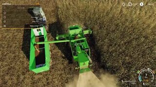 Harvesting barley in Farming Simulator 19