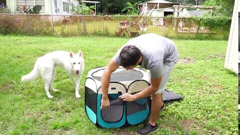 Autokcan Foldable Pet Playpen First Look