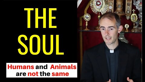 Do Animals have Souls?- Why Humans and Animals are Different