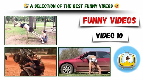A selection of the best funny videos