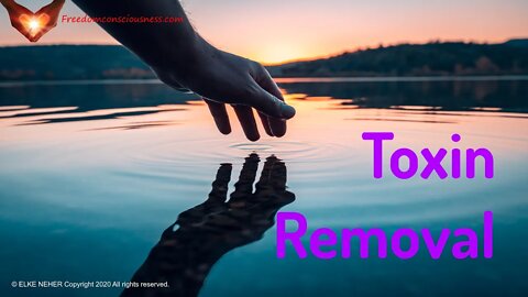 Toxin Removal - Toxin Cleaning Frequency Healing - Energy/Frequency Meditation Music