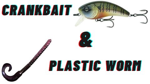2 Best Baits To Catch Bass