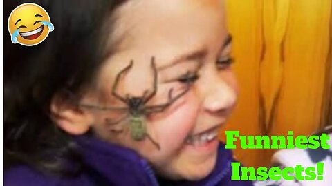 💥Funniest Insects And Spiders Viral Weekly😂🙃💥 of 2019| Funny Animal Videos👌
