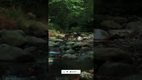 1 Minute Walk By The Stream Binaural Beats For Deep Relaxation & Meditation