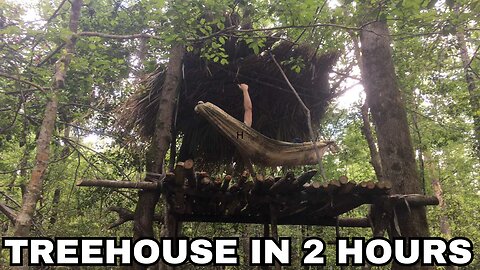 12 WAYS TO SURVIVAL: BUILDING A TREEHOUSE SHELTER #3