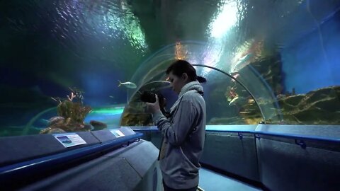 Woman taking pictures of coral fish in oceanarium
