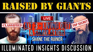 Illuminated Insights Discussion - Alt 3 Living out a Simulation - Shane The Ruiner