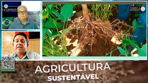Altamiro Gomes da Lottus Biosolucões comenta sobre as características do Fertilizante Organico SH-24