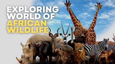 Exploring the Fascinating World of African Wildlife - Animals Nationality