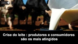 Leite: crise só para produtores e consumidores. Saiba o porque.