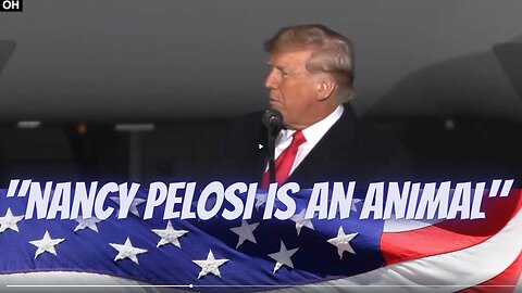 "Nancy Pelosi is an Animal " Highlights from President Donald J. Trump