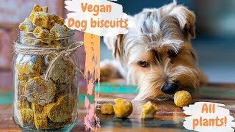 Handmade, nutritious, vegan dog treats