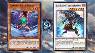 Yugioh Master Duel Blackwing Ranked Matches!!