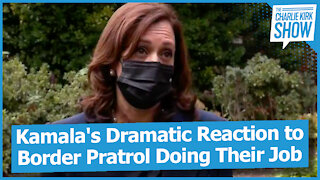 Kamala's Dramatic Reaction to Border Pratrol Doing Their Job