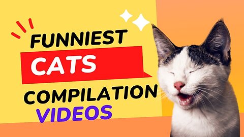 FUNNY CATS and DOGS 🐱🐶 CRAZY, AMAZING, SMART ANIMALS 🐾 New Funniest Videos 😂