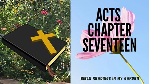 ACTS Chapter 17 | NRSV Bible