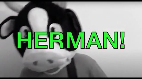 Happy Birthday HERMAN! - COW Happy Birthday Song
