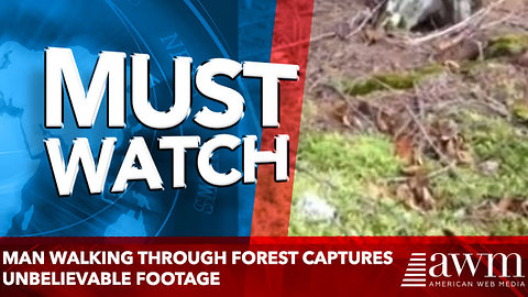Man Walking Through Forest Captures Unbelievable Footage, As Ground Changes Before His Eyes