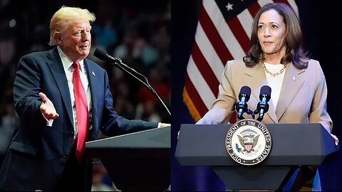 ‘Just another Trump storm in the media’: Former president makes controversial Harris claim